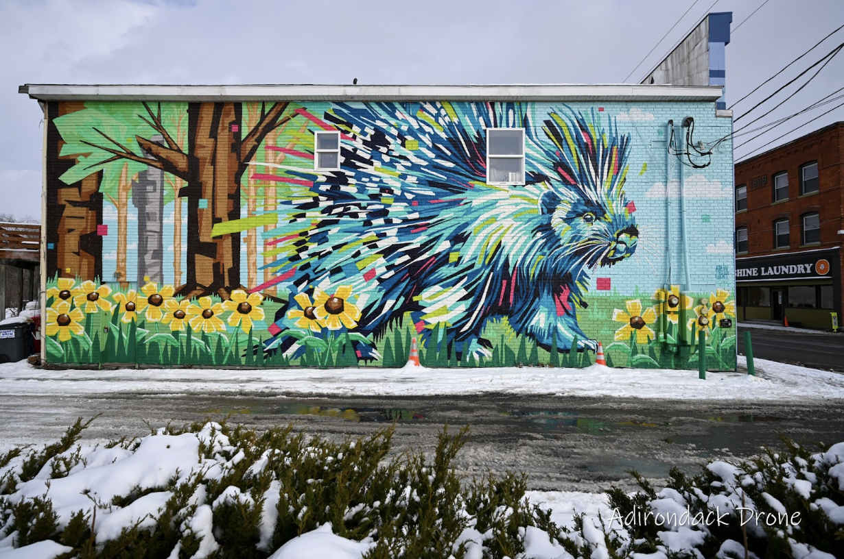 mural of porcupine